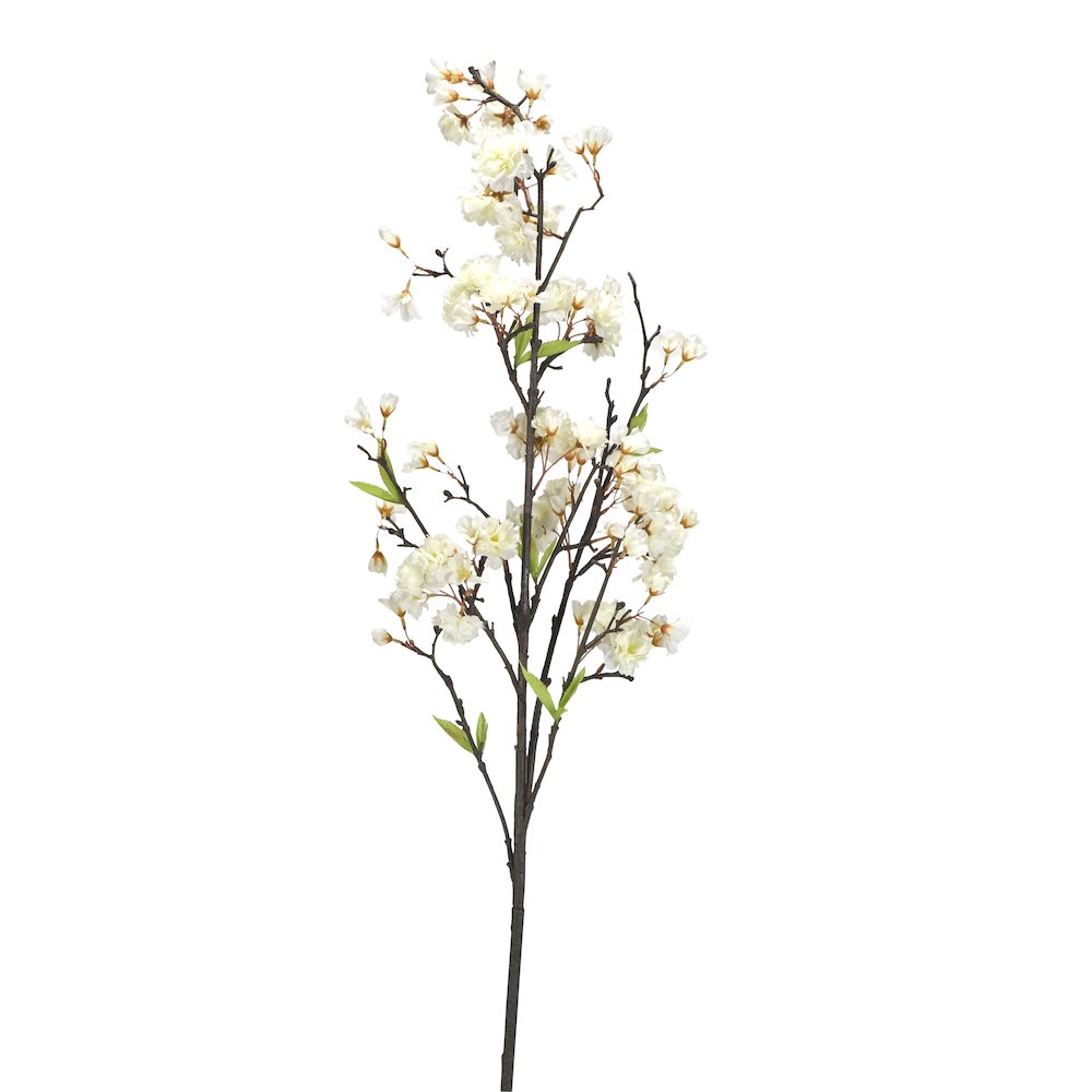 Cherry Blossom Branch. Picture 1