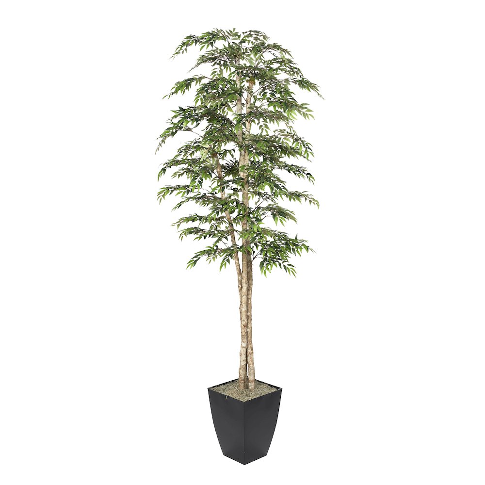 8' Ruscus Tree in Black Metal Planter. Picture 1