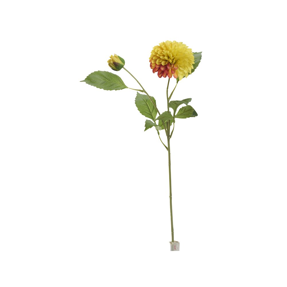 Orange/Yellow Dahlia Stem - Set of 3. Picture 1