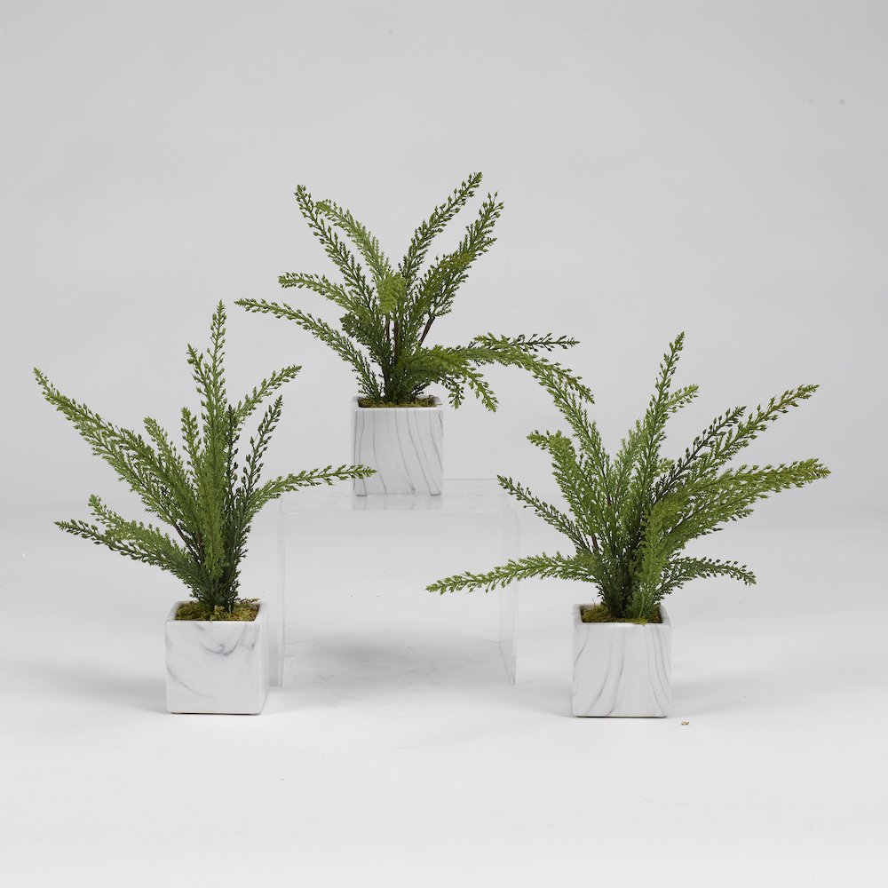 Heather Fern in White Marbled Ceramic Cube - Set Of 3. Picture 1