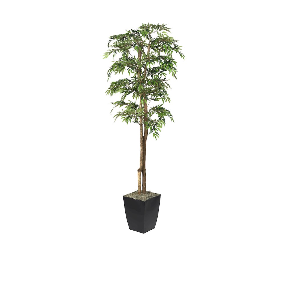 6' Ruscus Tree in Black Metal Planter. Picture 1