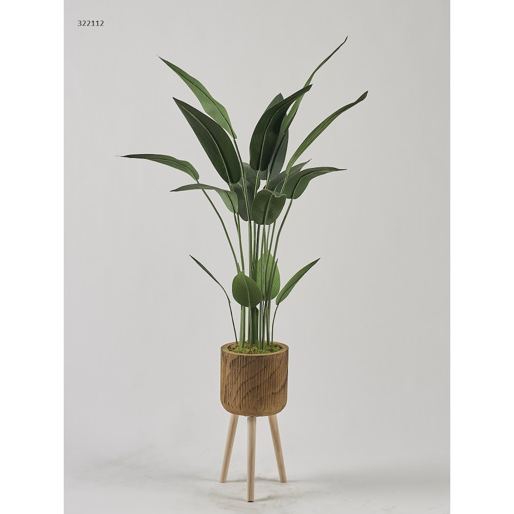 5' Traveler Palm in Wood Planter with Wood Legs. Picture 1