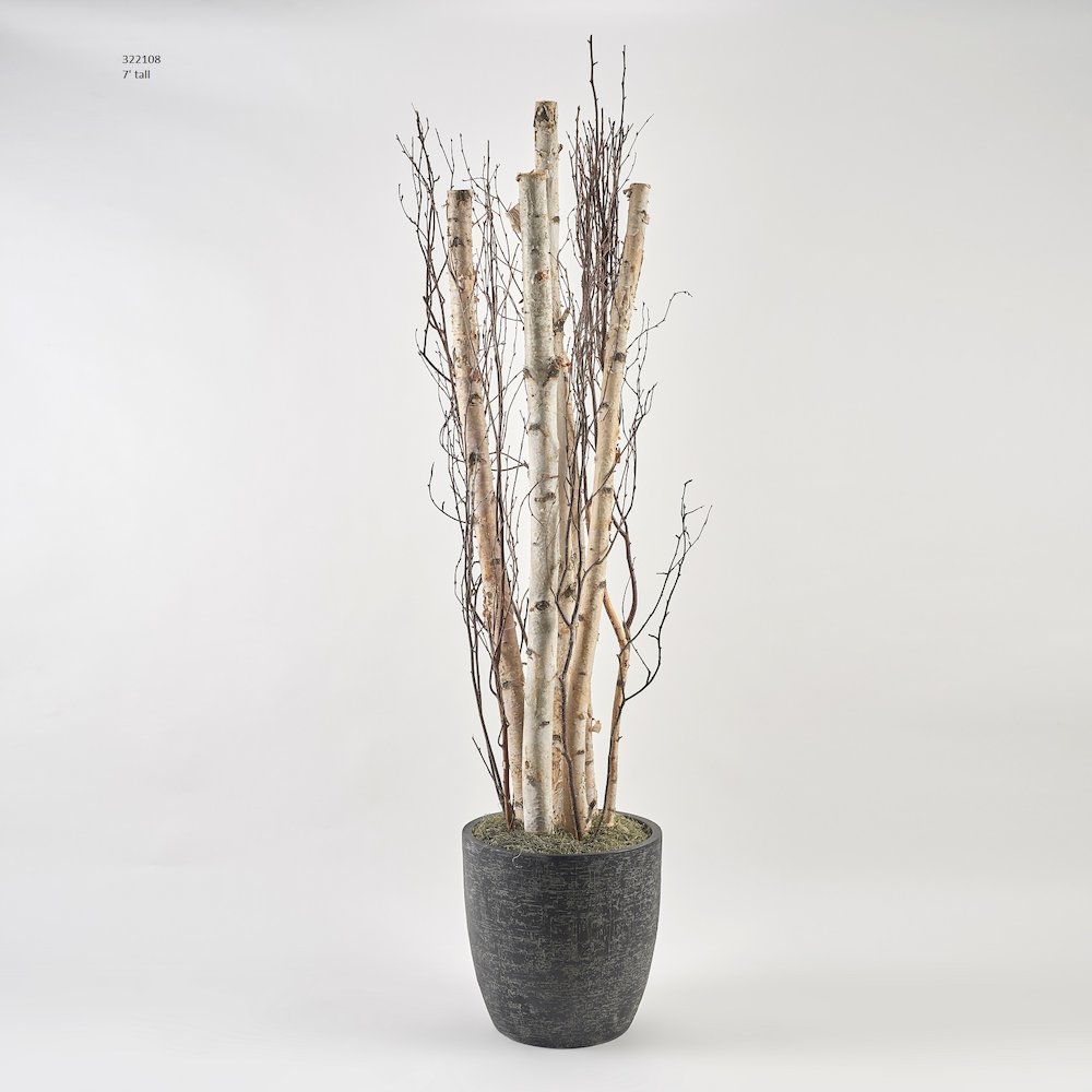 7' Birch Pole And Birch Branches in Round Black Textured Planter. Picture 1