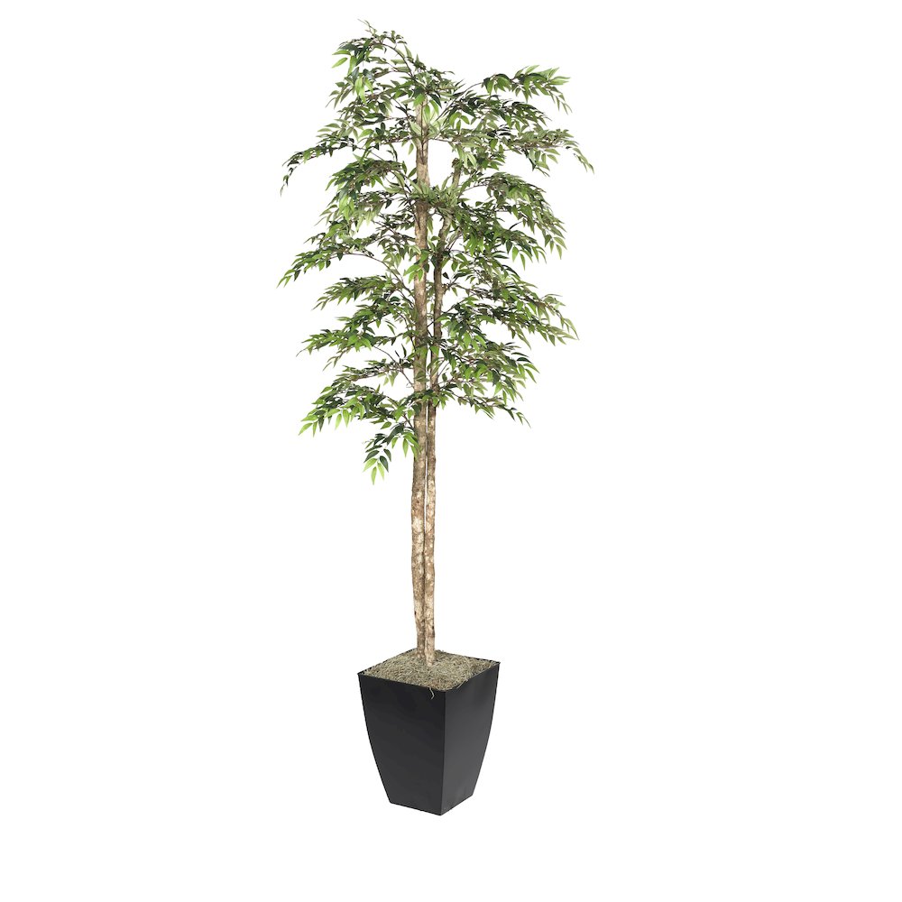 7' Ruscus Tree in Black Metal Planter. Picture 1