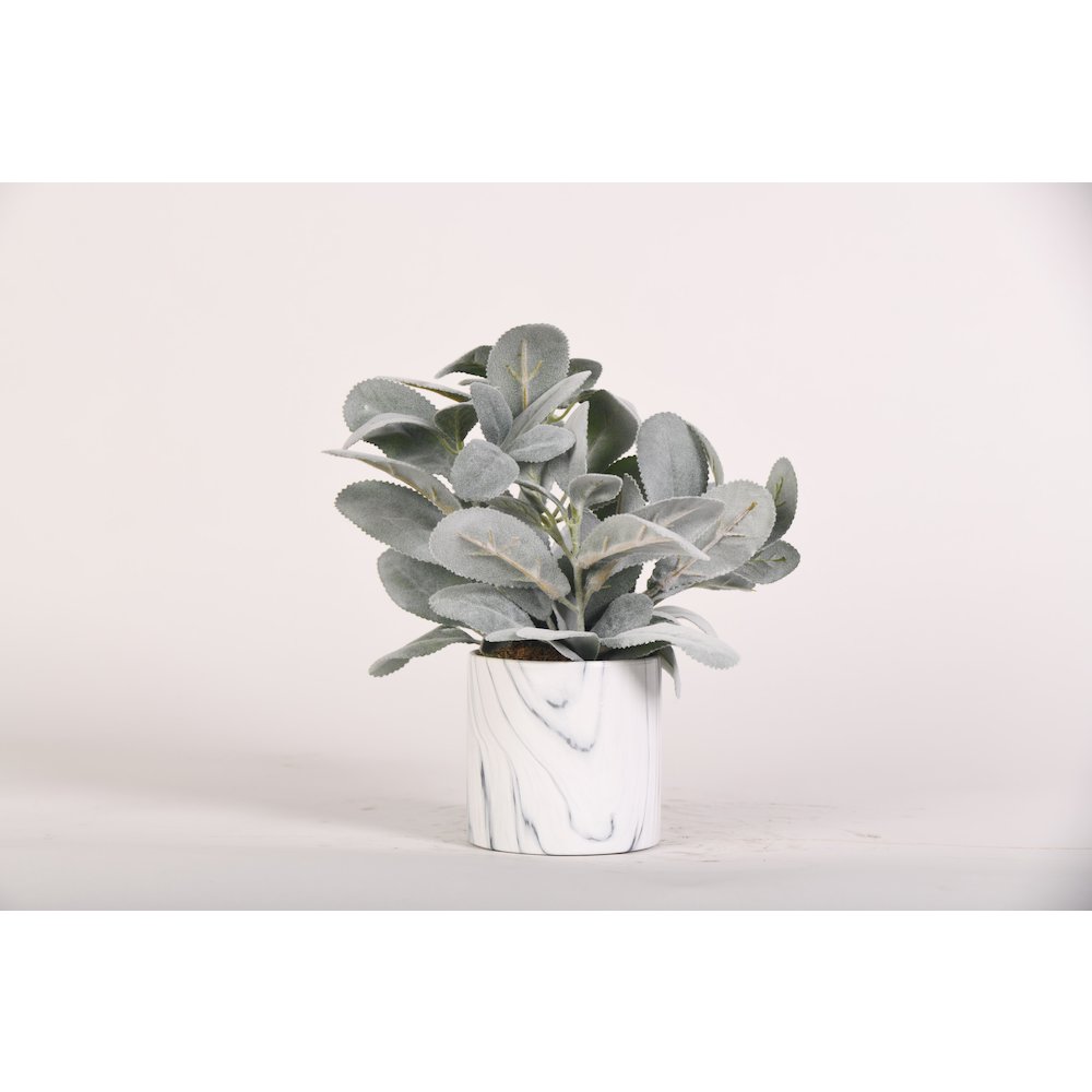 Lamb's Ear in Round Marble Planter. Picture 1