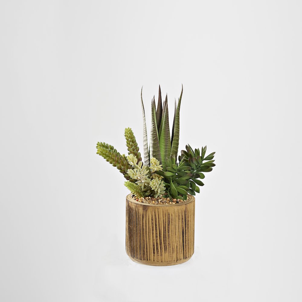 Agave and Assorted Succulents in Wooden Planter. Picture 1