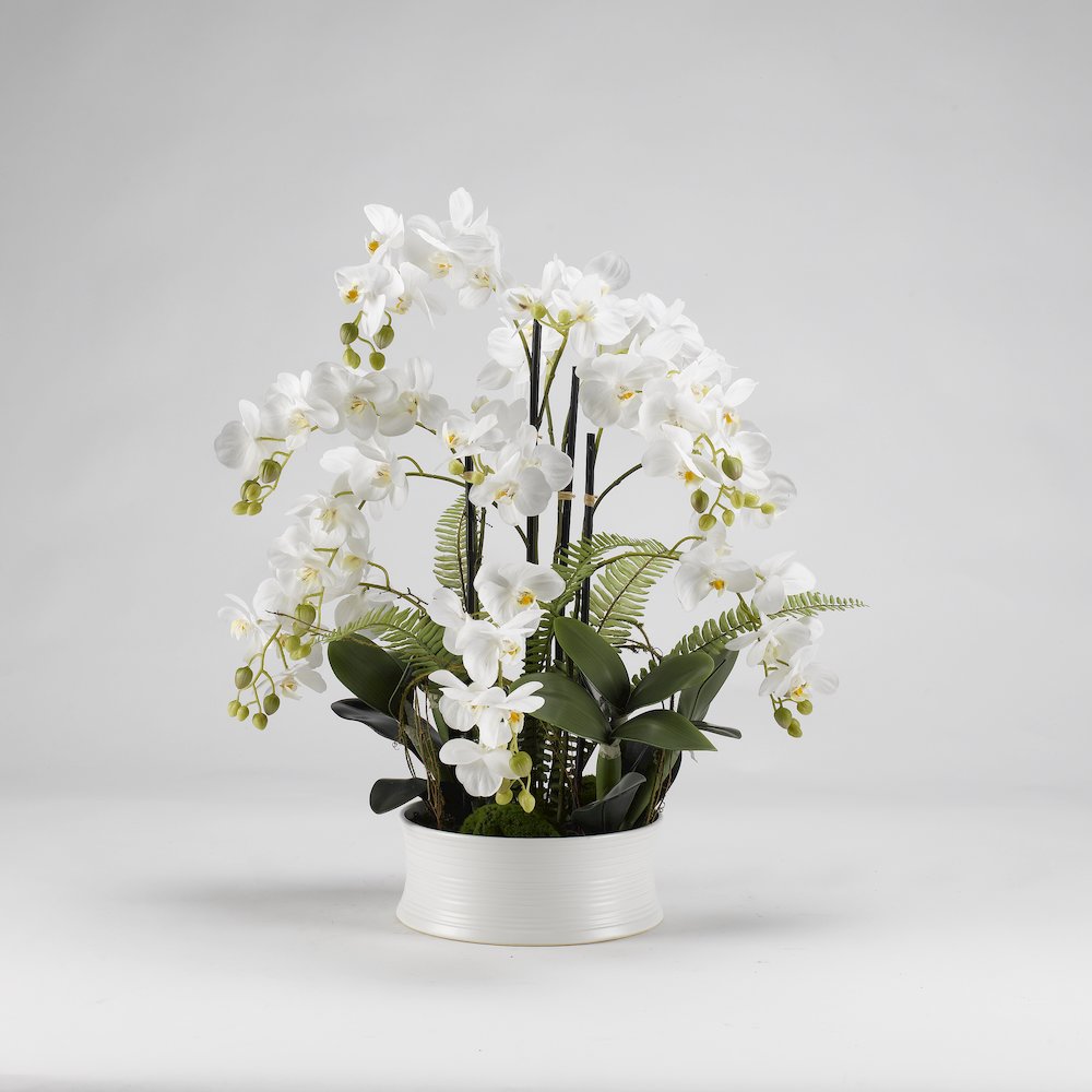 White Orchids in Round White Ceramic Dish. Picture 1