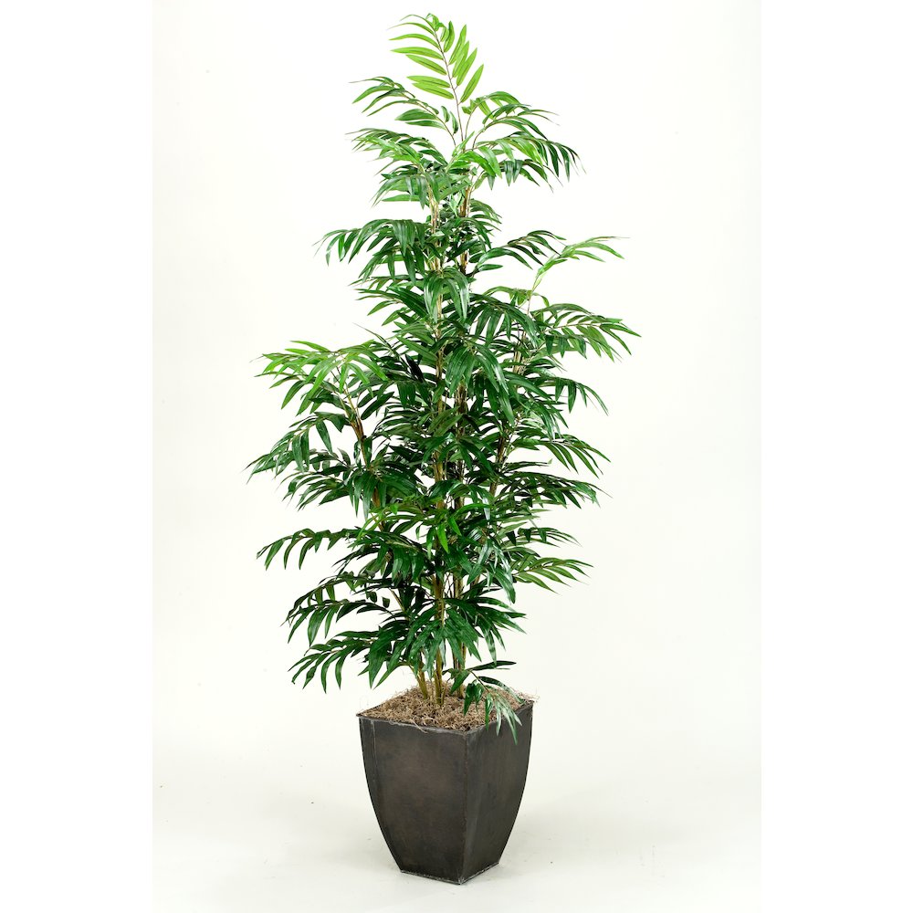 7' Phoenix Palm Tree in Square Metal Planter. Picture 1