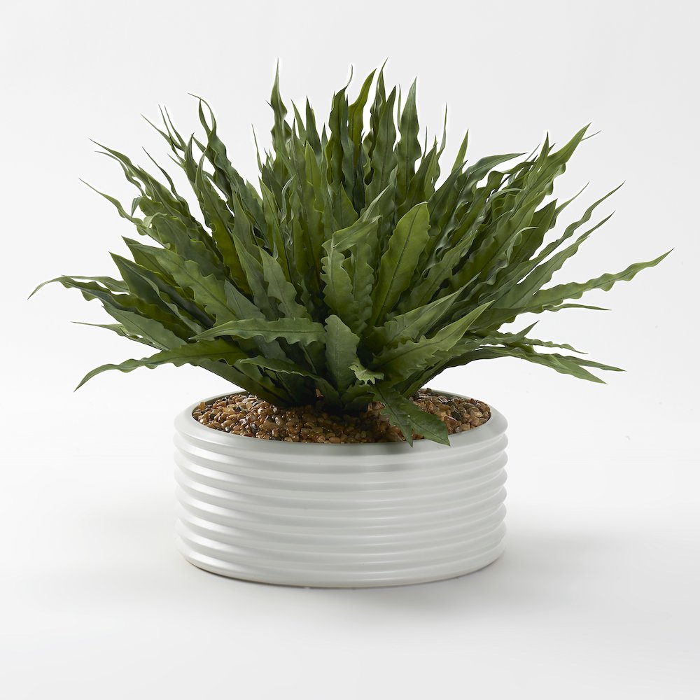 Frosted Green Birdnest in White Ribbed Bowl. Picture 1