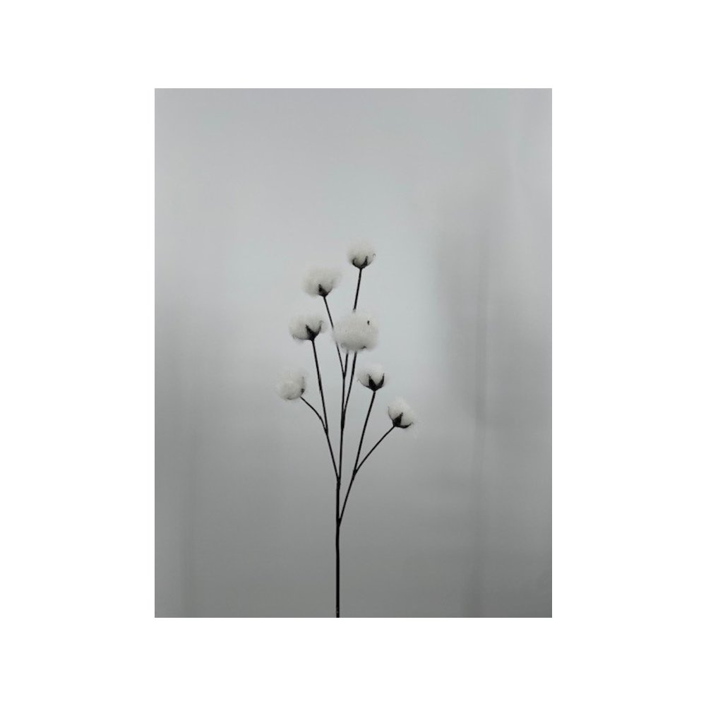Cotton Ball Spray - Set of 3. Picture 1