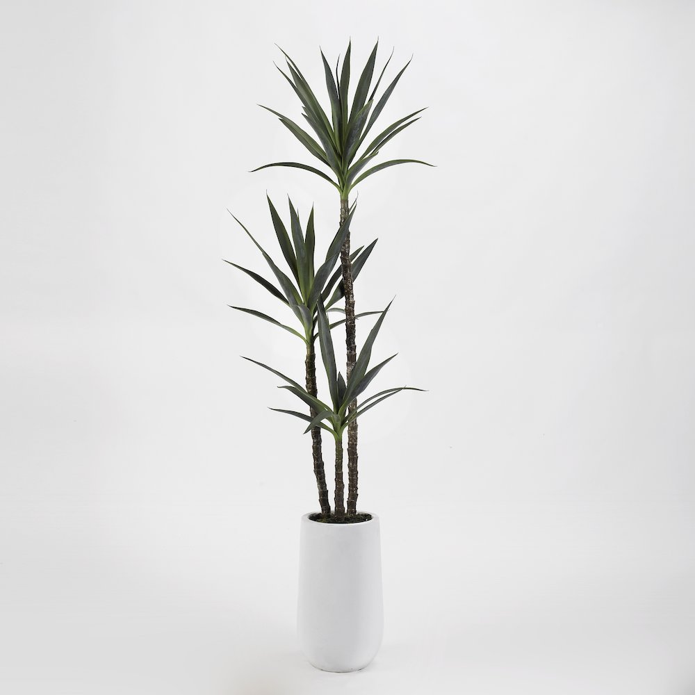 6' Yucca Tree in Tall Round White Resin Planter. Picture 1