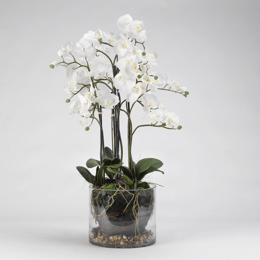 White Orchids in Glass Planter. Picture 1