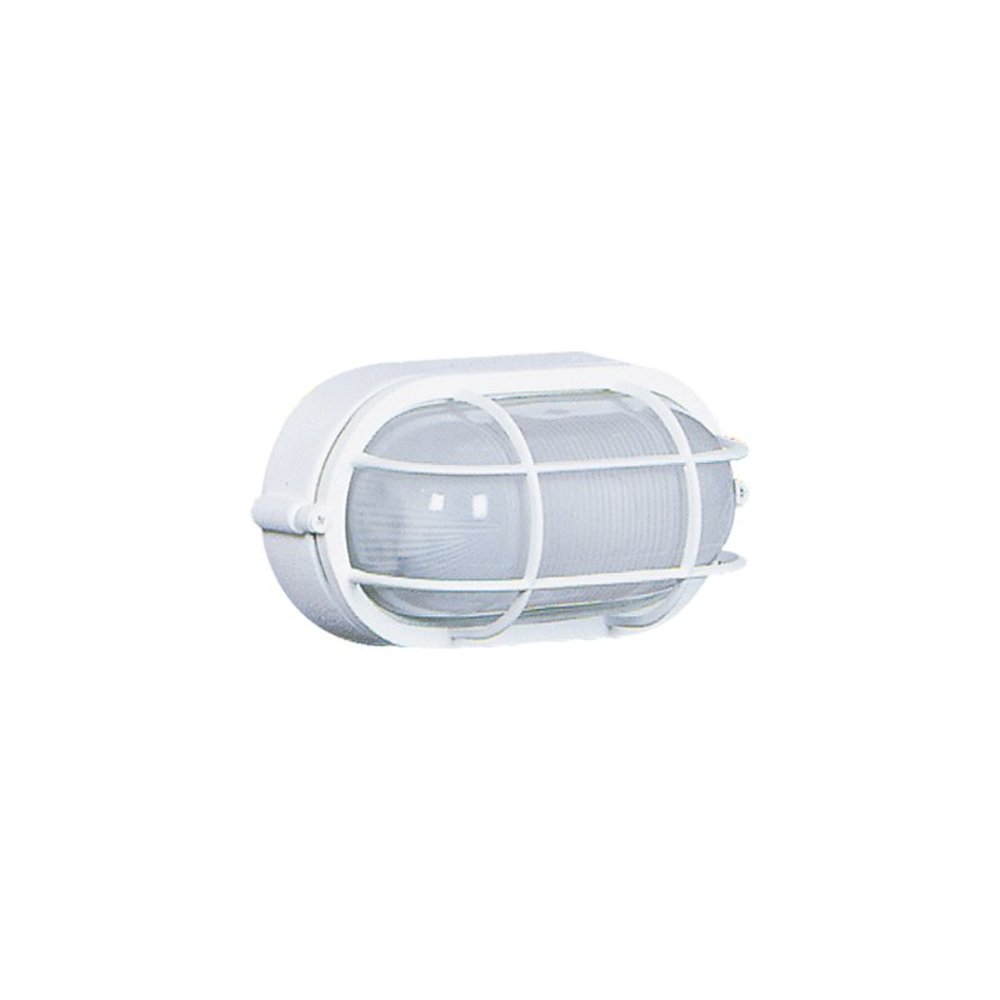 Marine 1Light Outdoor Wall Light. Picture 1