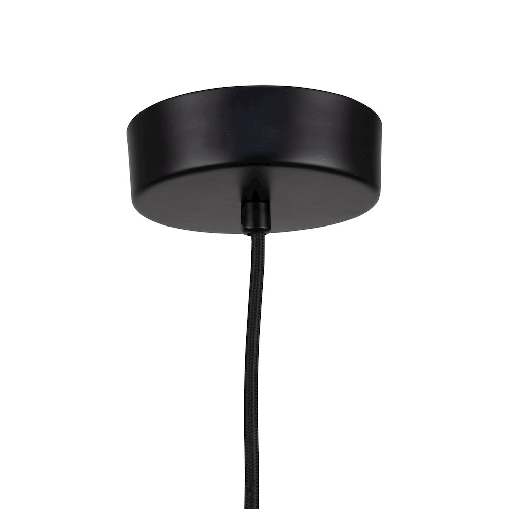 Lexi Collection 1Light 12" Pendant Black. Picture 4