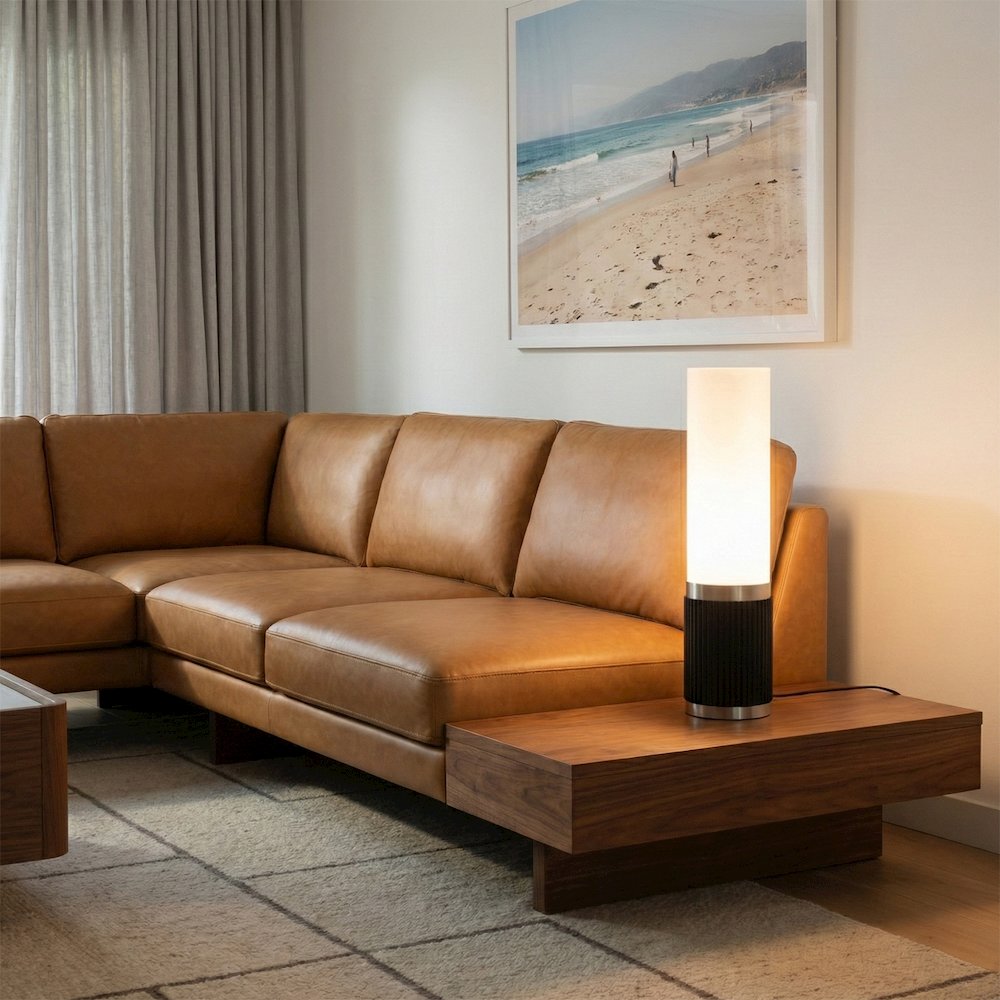 Tambo Cylindro 18" Petite Accent Table Lamp - Black Oak, Satin Nickel, Frosted. Picture 4