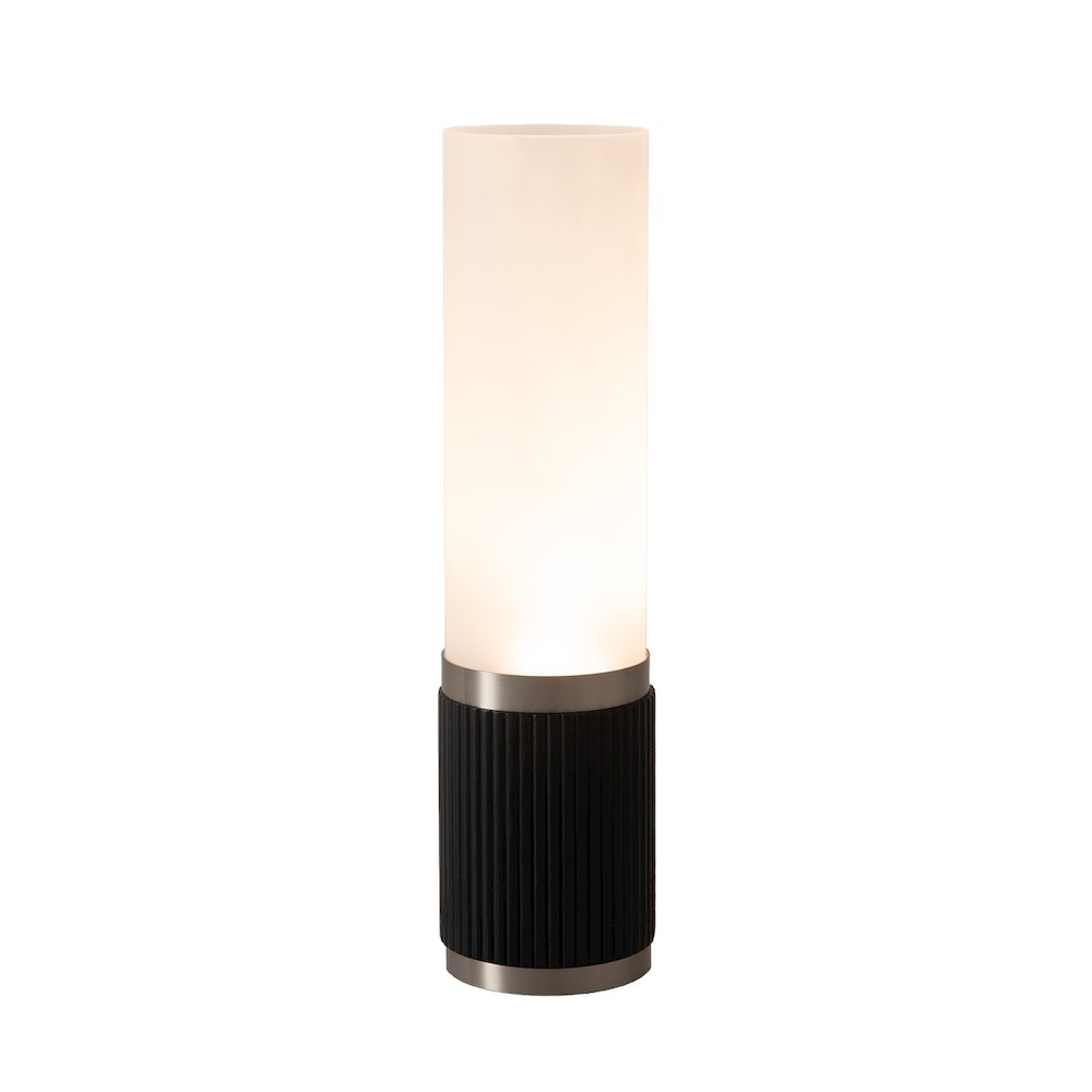 Tambo Cylindro 18" Petite Accent Table Lamp - Black Oak, Satin Nickel, Frosted. Picture 1
