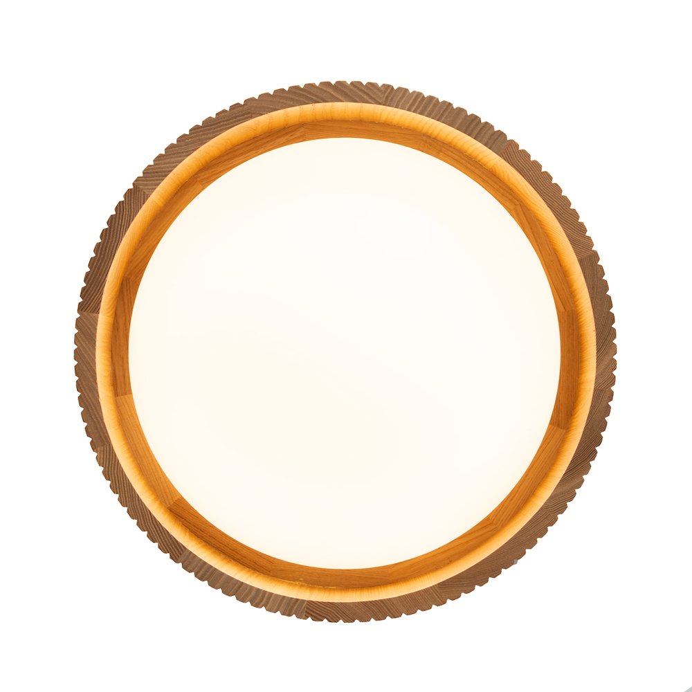 Tambo 14"D Flush Mount Ceiling Light - Domed Diffuser, Natural Ash, Weathered. Picture 8