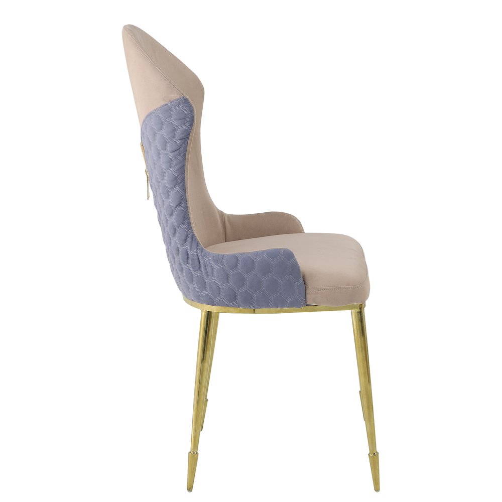 Tan and Gold Sloped Arms Dining Chairs (Set of 2). Picture 3
