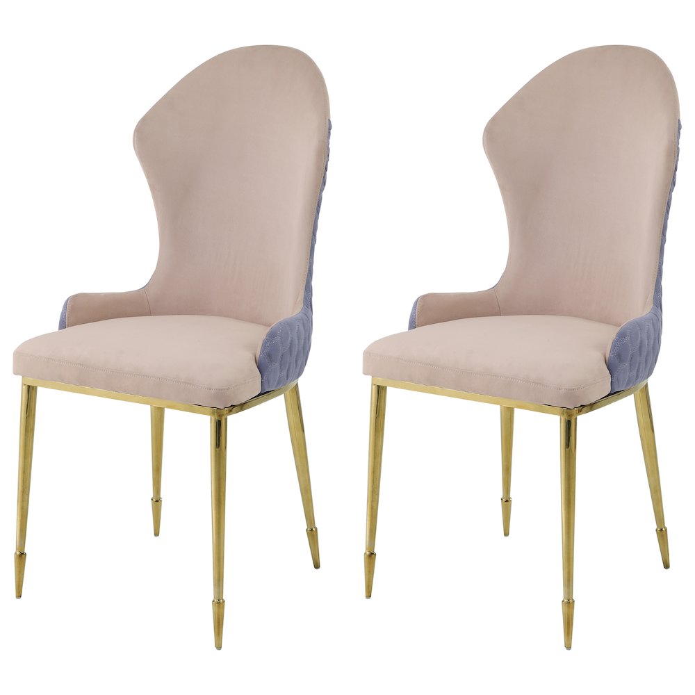 Tan and Gold Sloped Arms Dining Chairs (Set of 2). Picture 1
