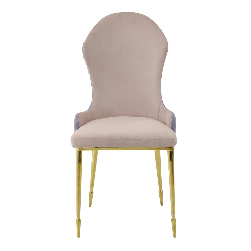 Tan and Gold Sloped Arms Dining Chairs (Set of 2). Picture 2