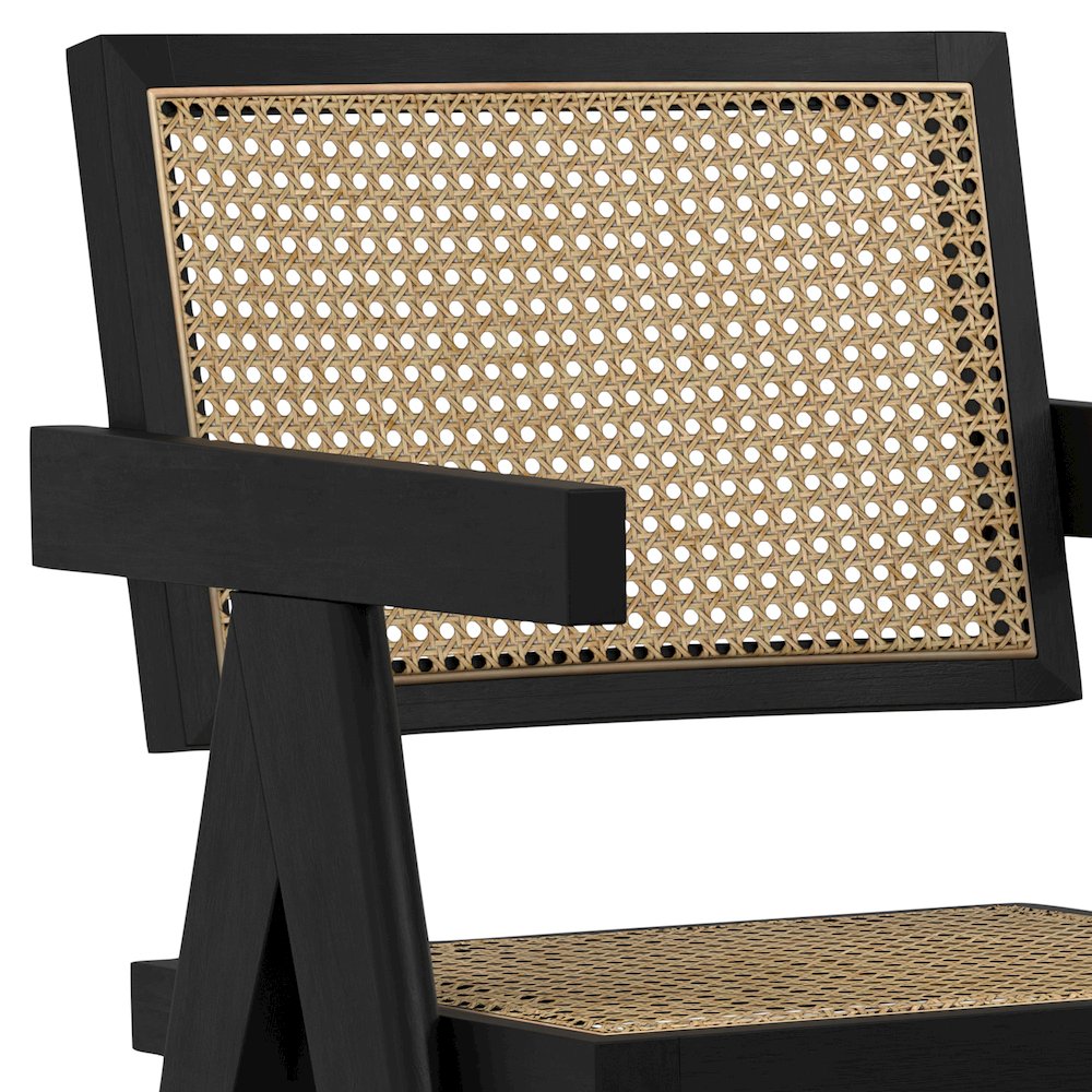 Regina Dining Arm Chair (Set of 2) in Black. Picture 6