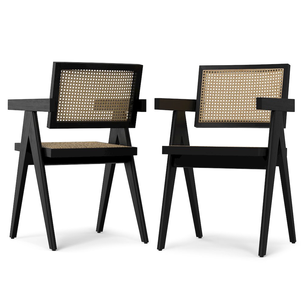Regina Dining Arm Chair (Set of 2) in Black. Picture 1