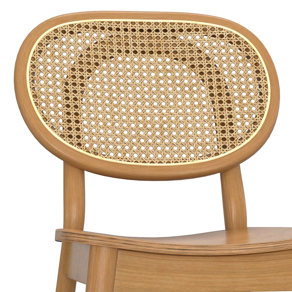 Rachel Dining Chair (Set of 2) in Natural. Picture 9
