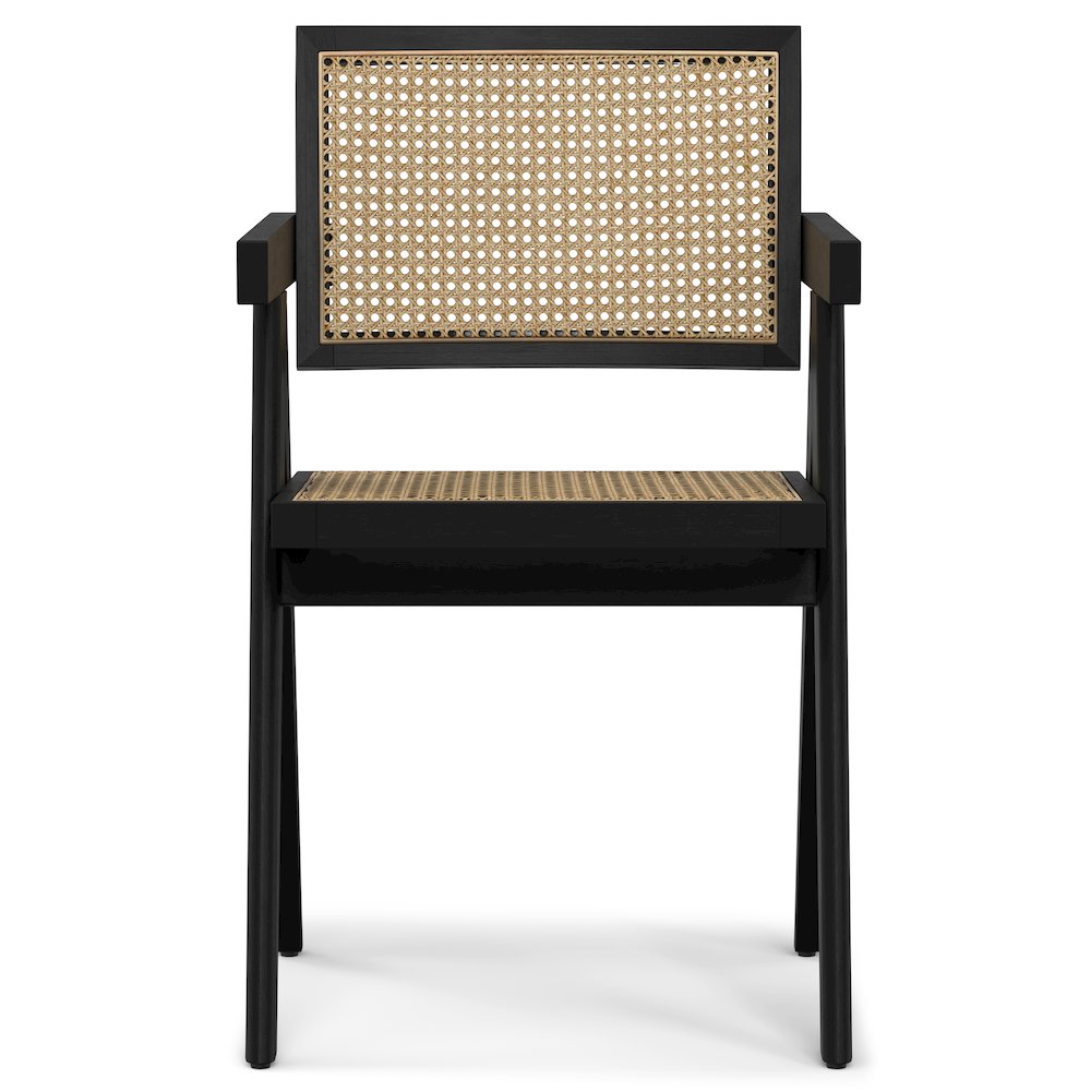 Regina Dining Arm Chair (Set of 2) in Black. Picture 4