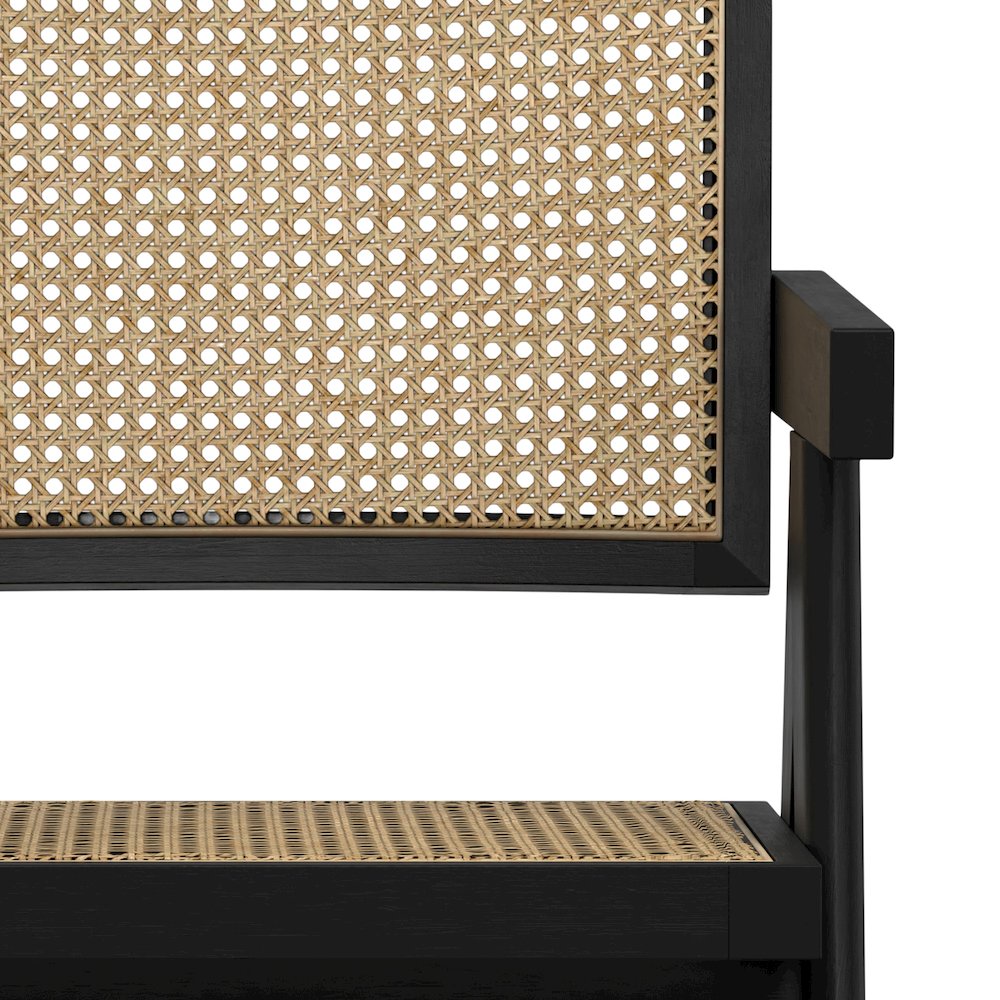 Regina Dining Arm Chair (Set of 2) in Black. Picture 8