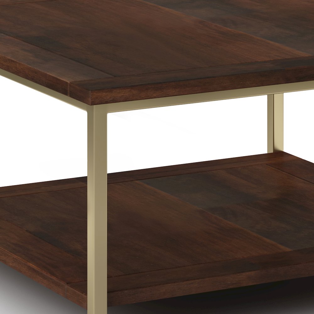 Skyler SOLID MANGO WOOD Square Coffee Table in Dark Brown / Gold. Picture 3
