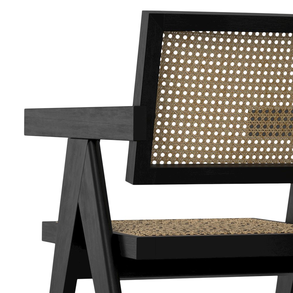 Regina Dining Arm Chair (Set of 2) in Black. Picture 10