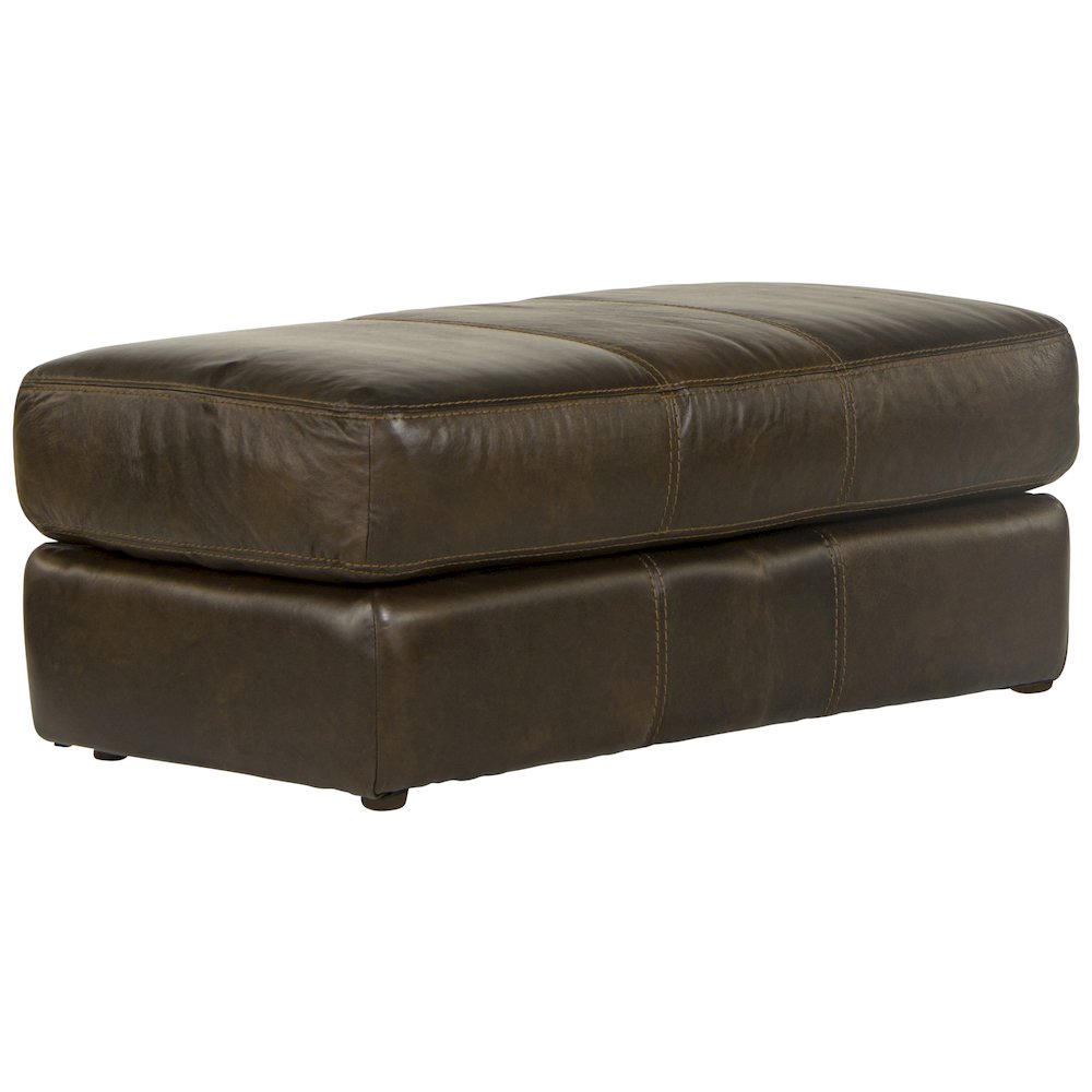 Pavia Top Grain Italian  Leather Match Ottoman. Picture 1