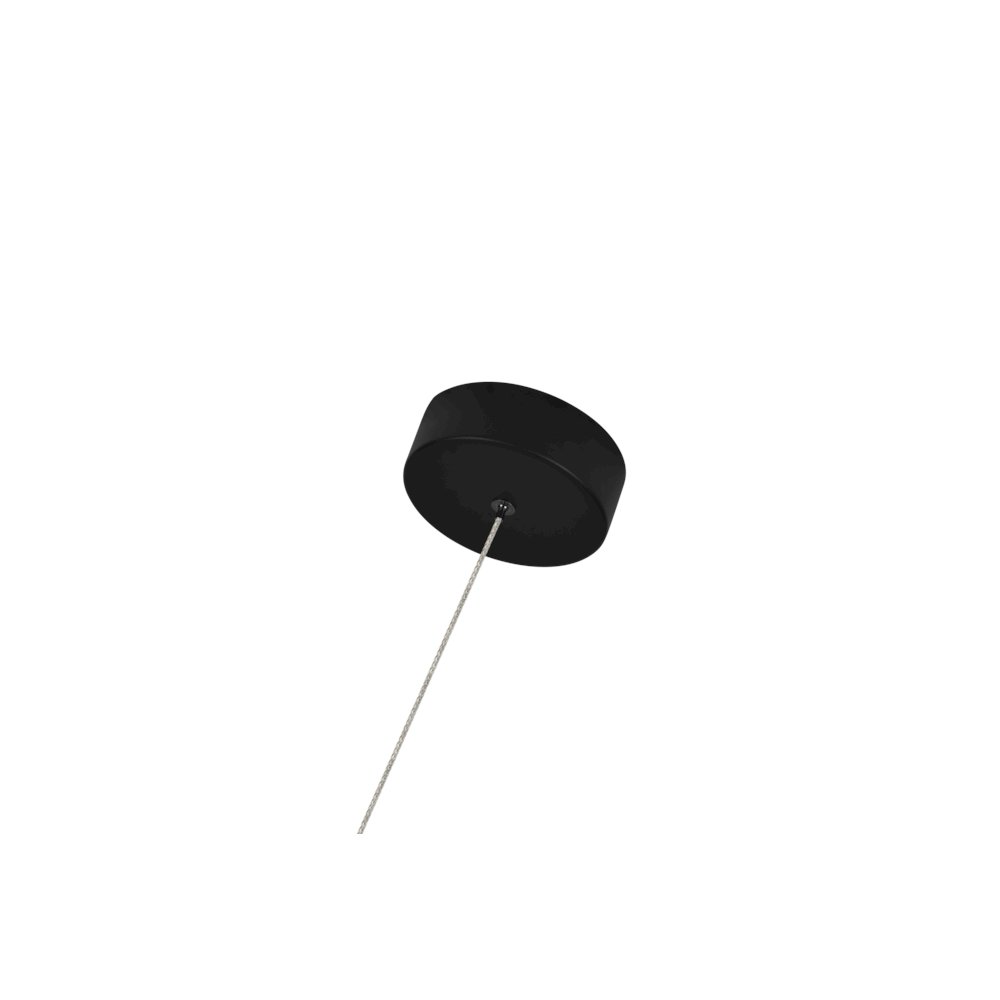 1-Light Integrated LED Black Height Adjustable Pendant Lighting. Picture 10