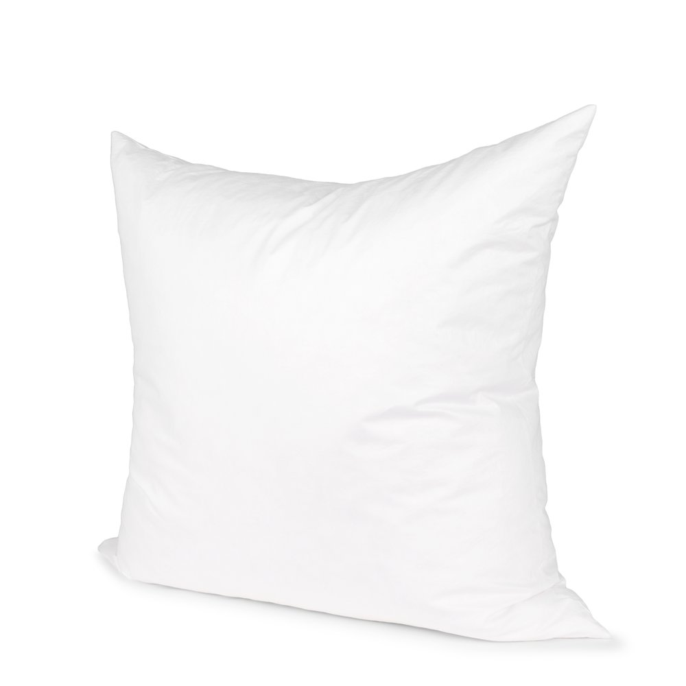 20 x 20 Down pillow insert. Picture 1