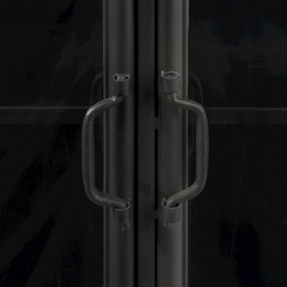 Poppy III 40L x 16W Black Metal With Glass Door Accent Cabinet. Picture 6