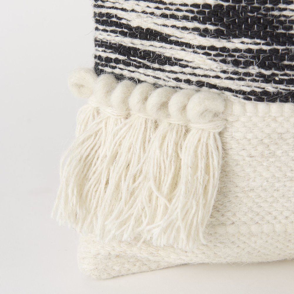 Beardell 18 x 18 Cream And Black Details With Tassels  Decorative Pillow Cover. Picture 7