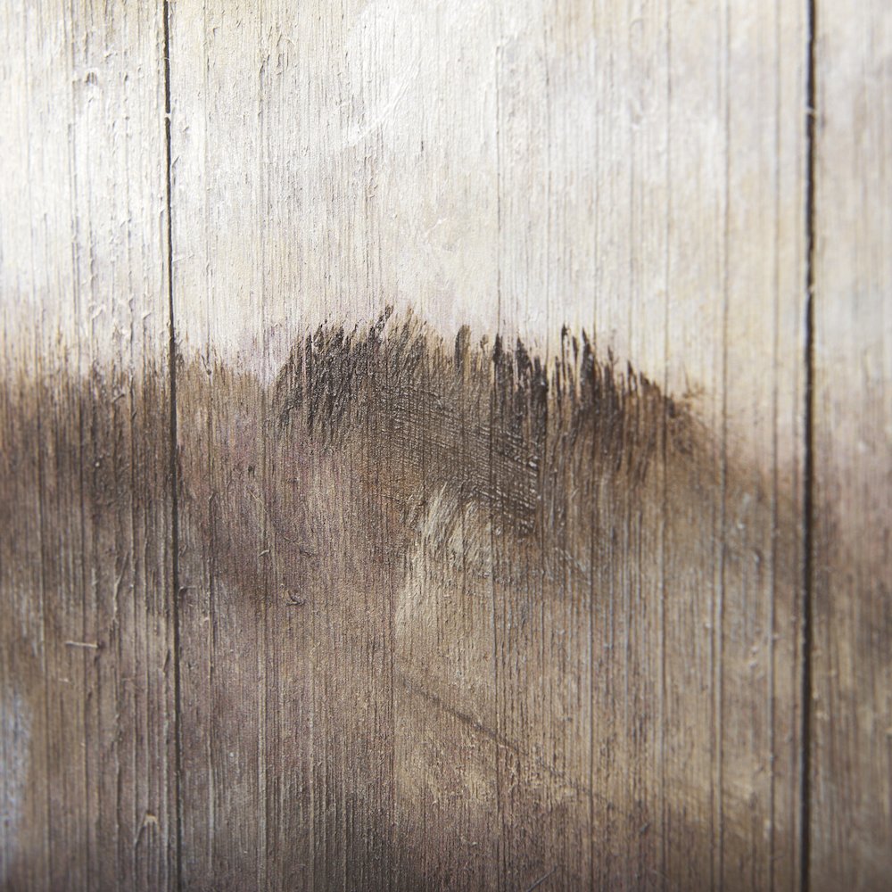Wild Ox Painting on Wood. Picture 6