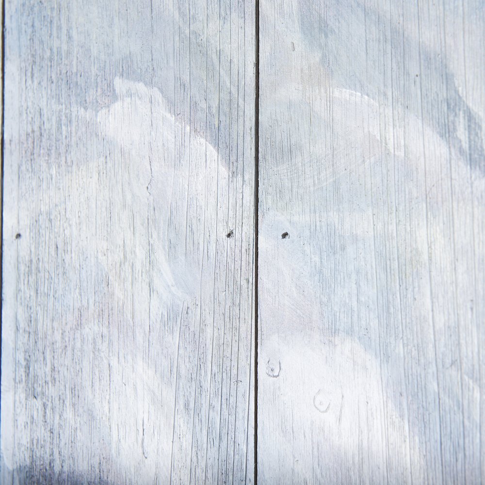 Wild Ox Painting on Wood. Picture 7