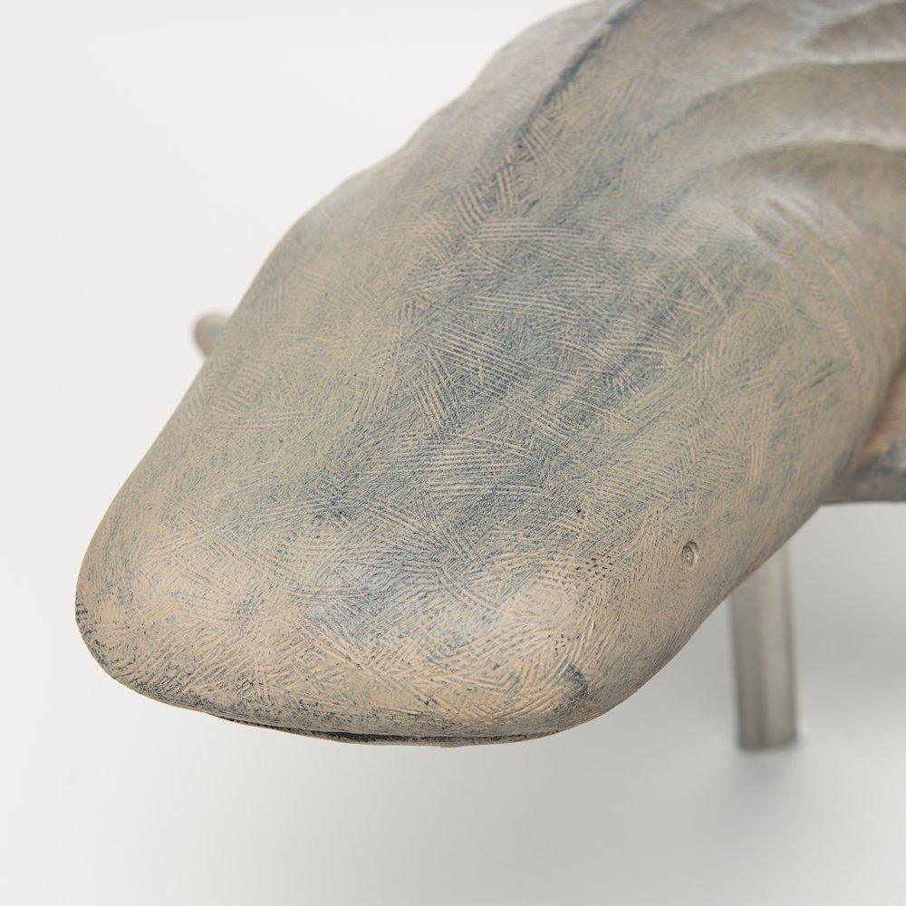 Willa Large Wall Mountable Whale Shark Sculpture. Picture 4