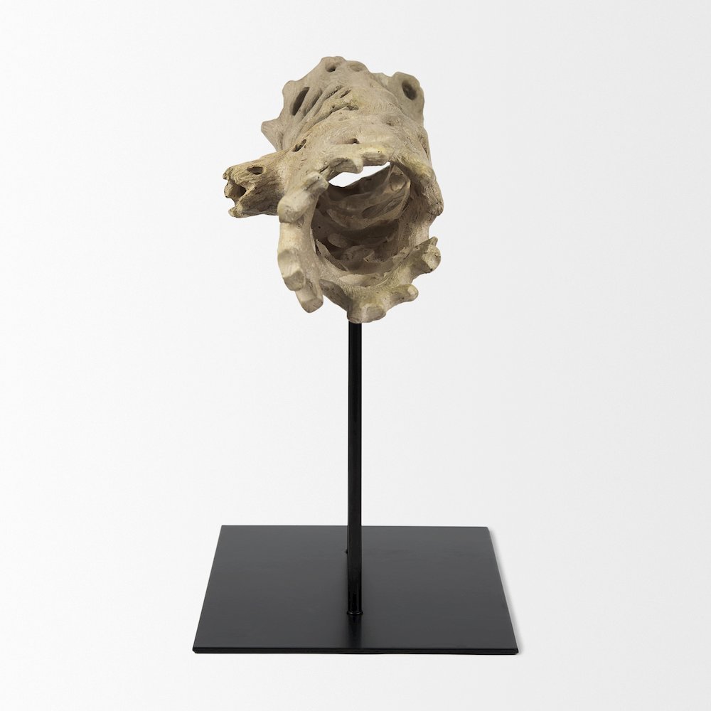 Dwell Cholla Wood Resin Decorative Object. Picture 2