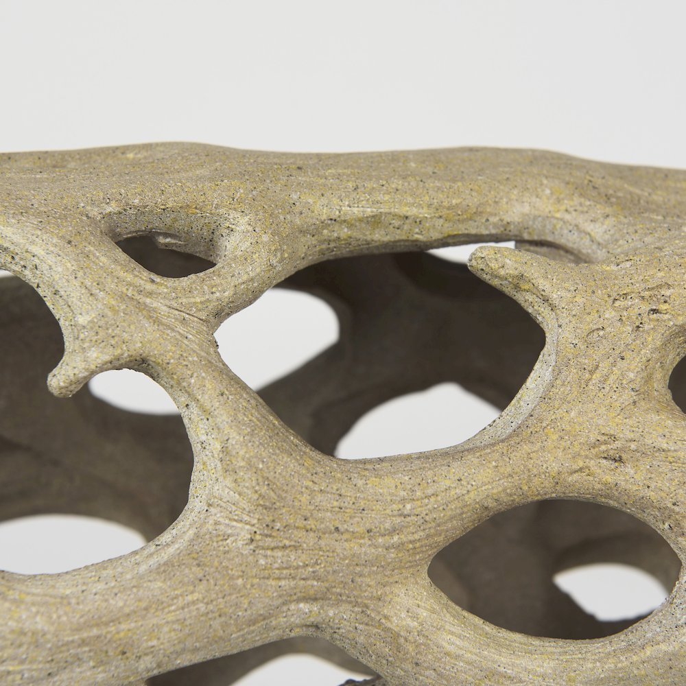 Dwell Cholla Wood Resin Decorative Object. Picture 6