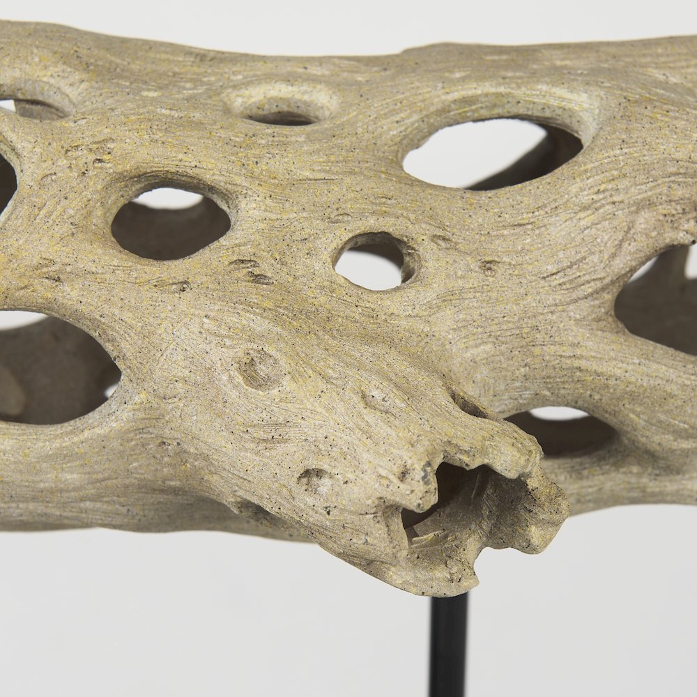 Dwell Cholla Wood Resin Decorative Object. Picture 7