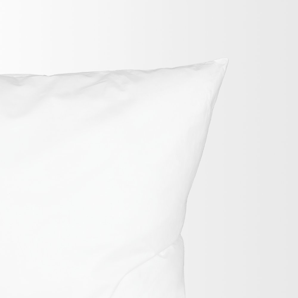 20 x 20 Non-Allergen Pillow insert. Picture 2