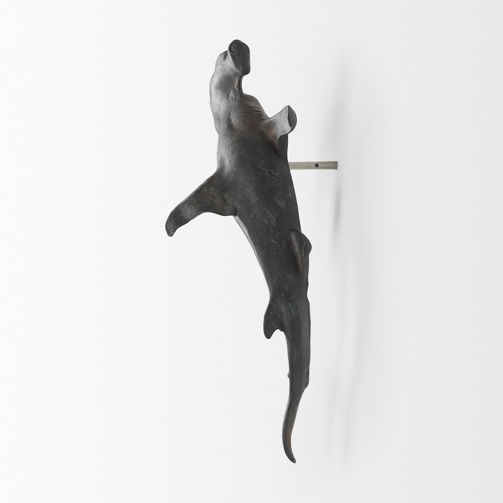 24H Large Hammer Head Shark Wall Decor. Picture 5