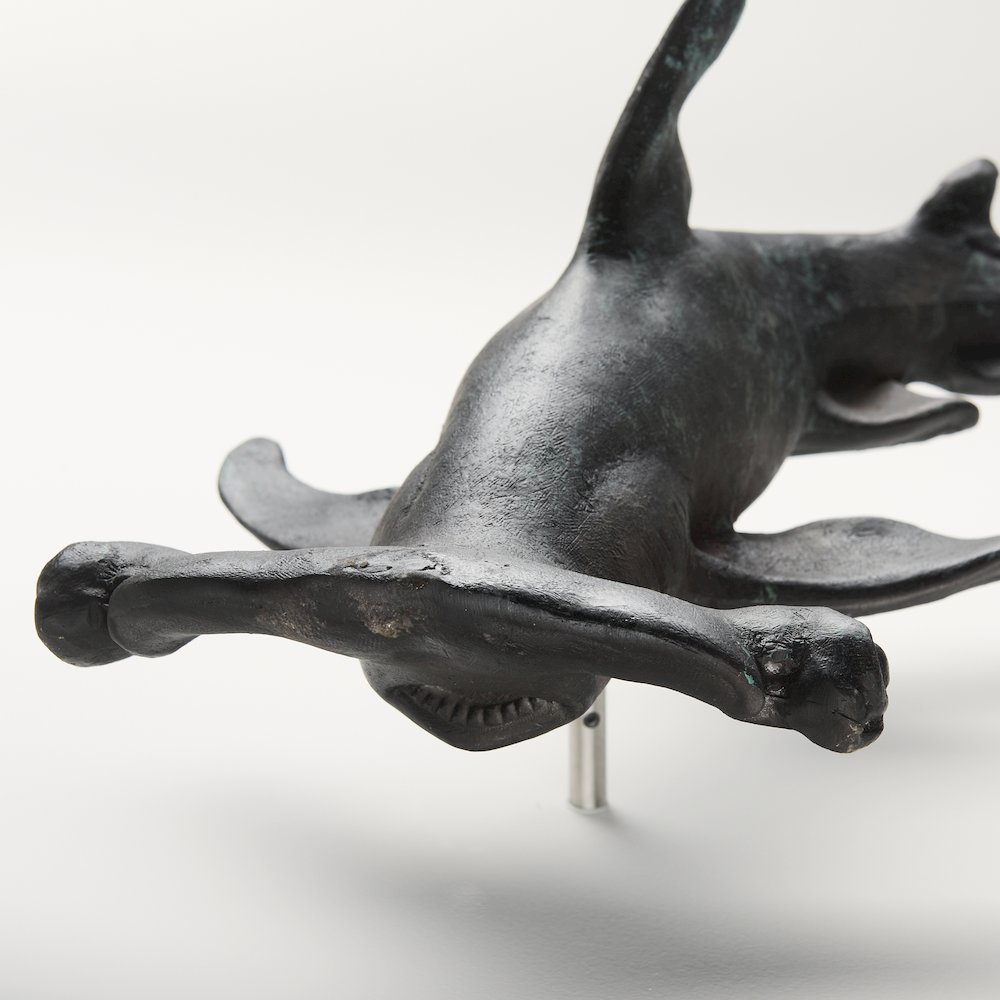 24H Large Hammer Head Shark Wall Decor. Picture 6