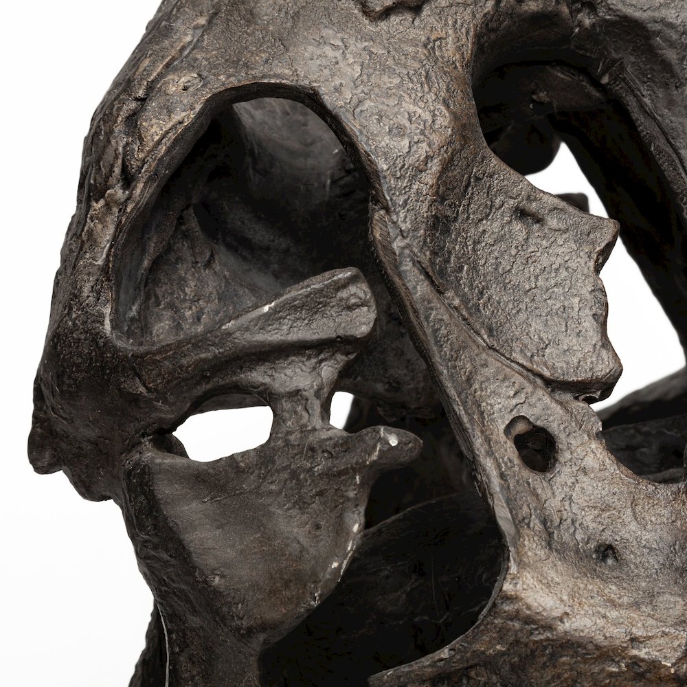 Lagrane 19L x 11W Brown Resin Tyrannosaurus T Rex Dinosaur Skull Replica. Picture 2