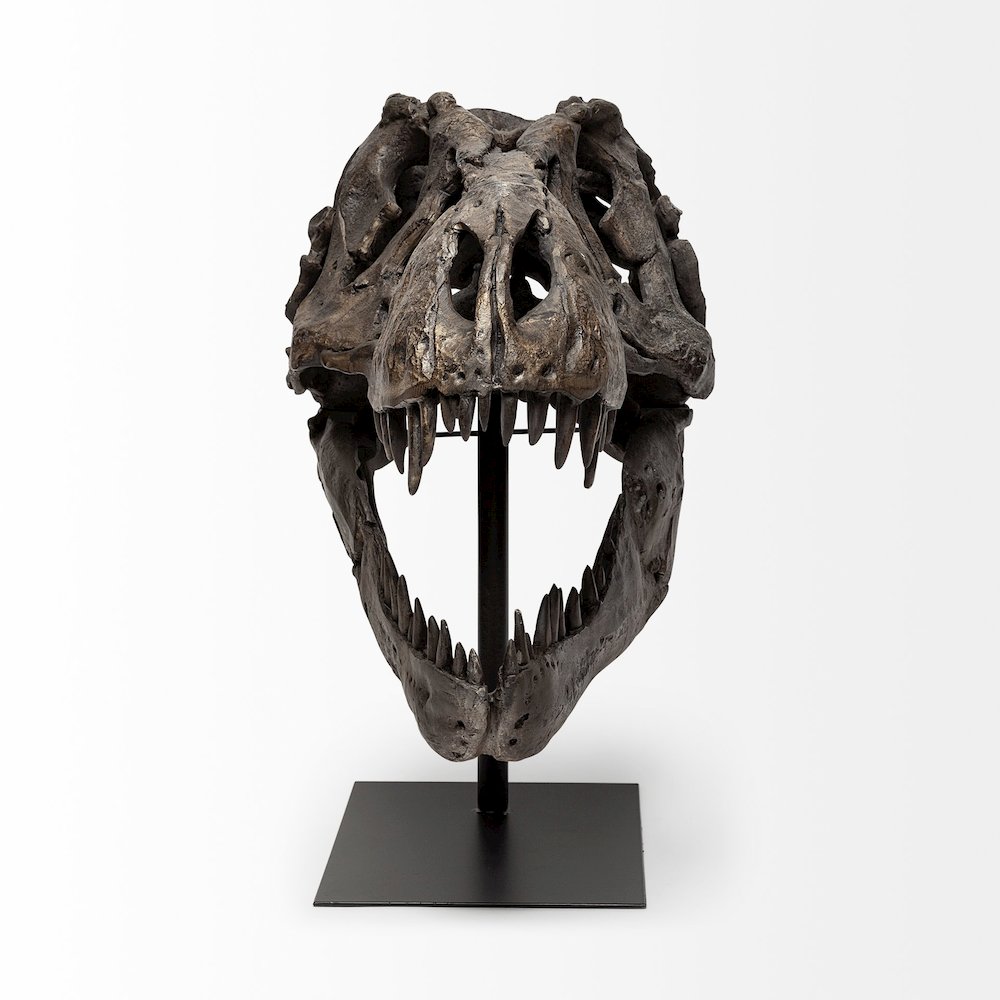 Lagrane 19L x 11W Brown Resin Tyrannosaurus T Rex Dinosaur Skull Replica. Picture 4