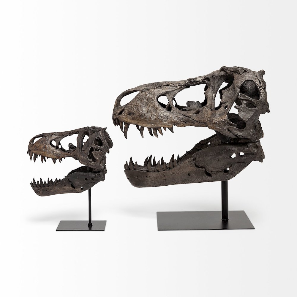 Lagrane 19L x 11W Brown Resin Tyrannosaurus T Rex Dinosaur Skull Replica. Picture 7