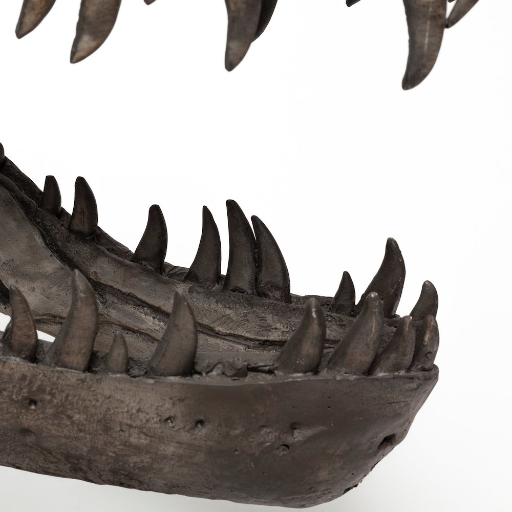 Lagrane 19L x 11W Brown Resin Tyrannosaurus T Rex Dinosaur Skull Replica. Picture 10