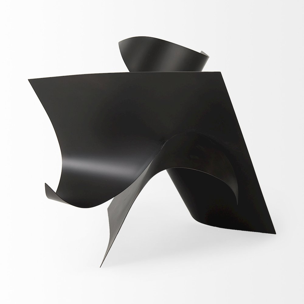 Francesca 18.1L x 18.1W x 18.1H Black Metal Sculptural Decorative Object. Picture 3